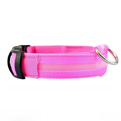 LED Leuchthalsband für Hunde