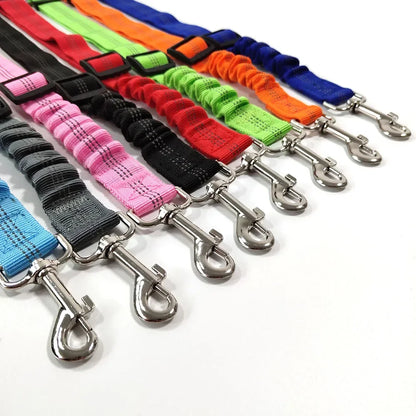 Auto Sicherheitsgurt für Hunde & Katzen