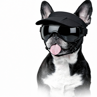Hundesonnenhut mit Brille